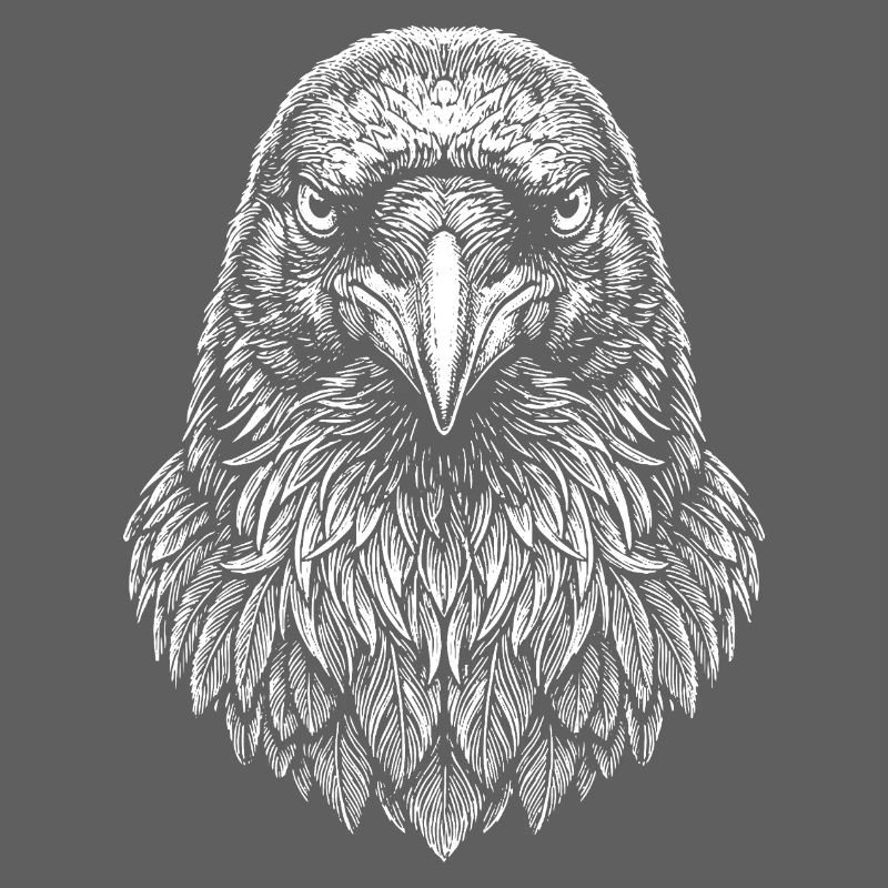Aviator Eagle Head Line Art