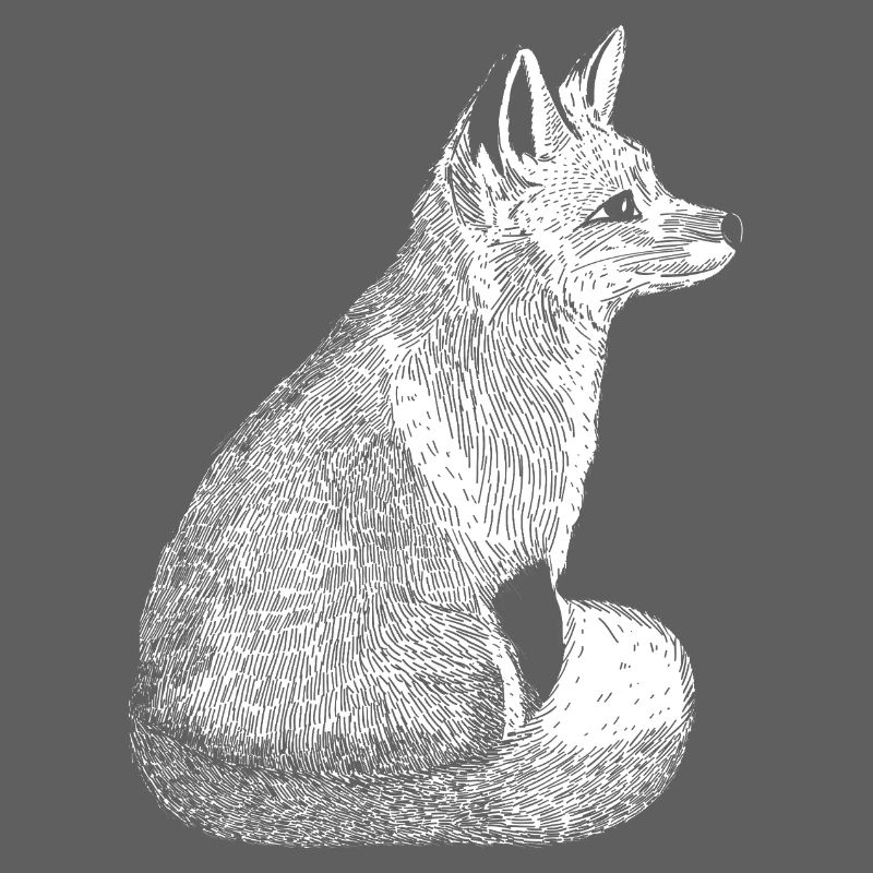 Hand Drawn Vintage Fox