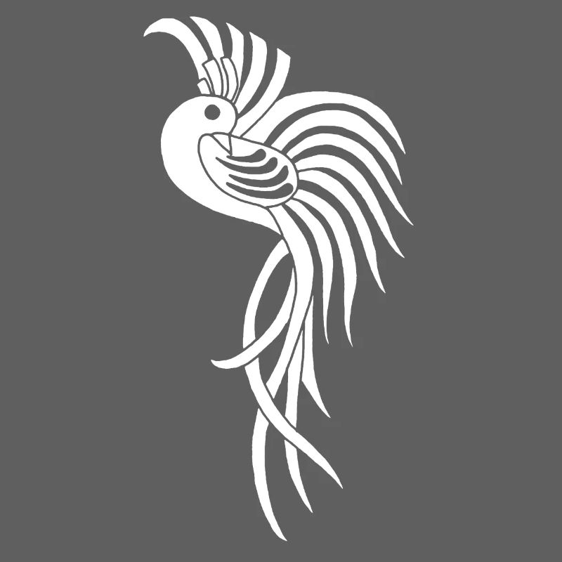 Oiseau du paradis blanc