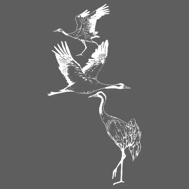 CRANES