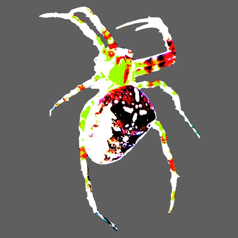 Spider in bright colors