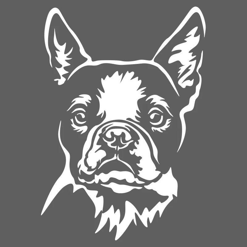 Boston Terrier Kopf "Black Edition"
