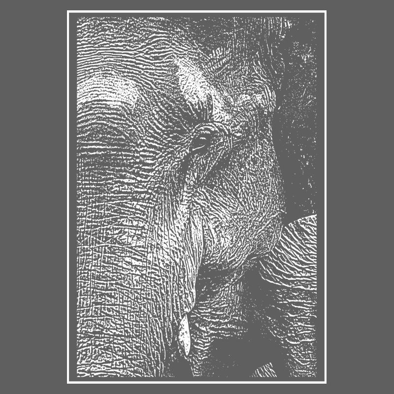 Weißer Elefant