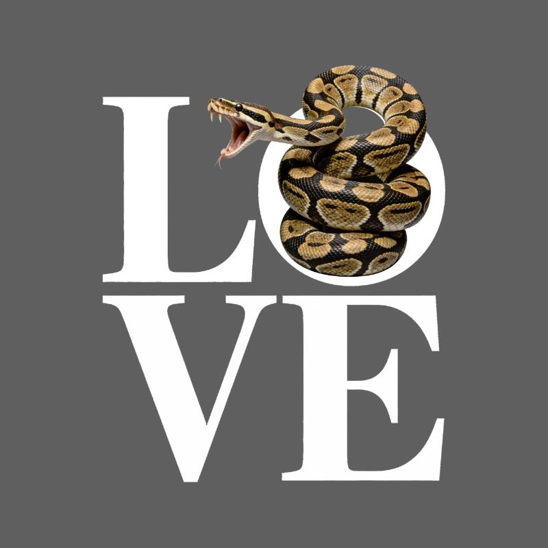Les serpents rois Python ADORENT les pythons de terrarium