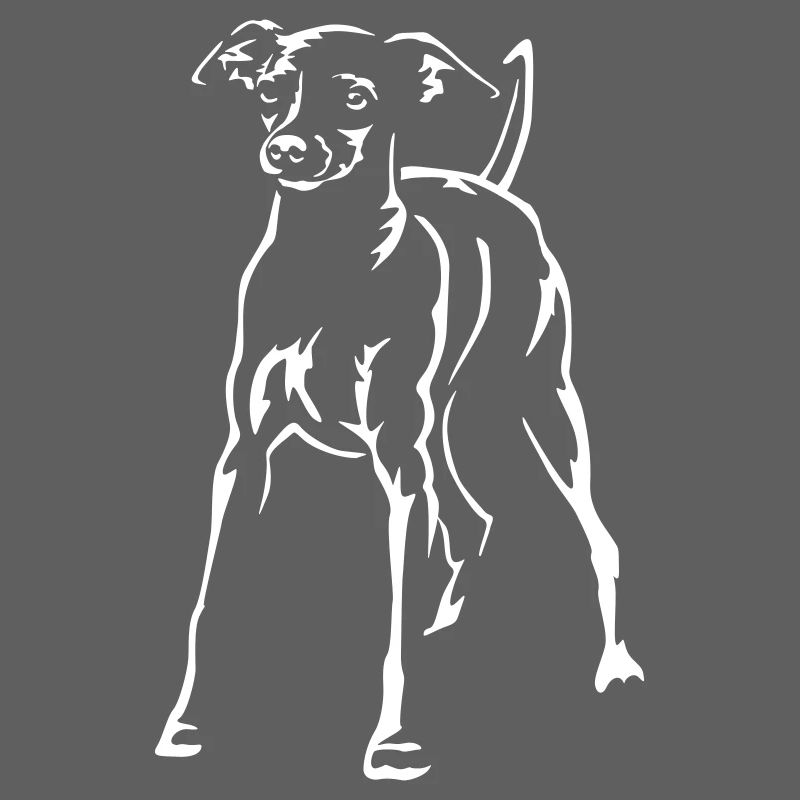 Dwarf Pinscher "Black Edition"