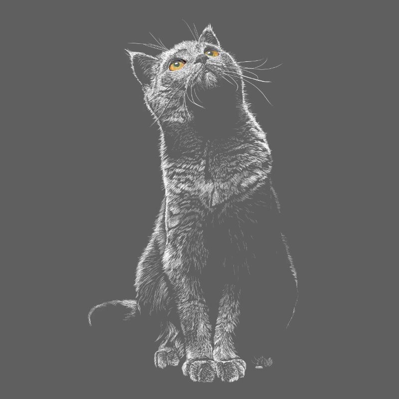 Chat
