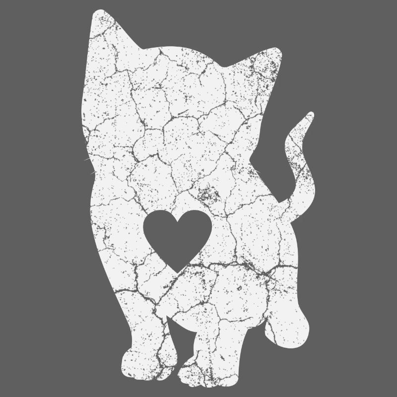 Katze Katzen