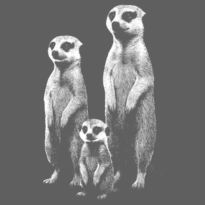 Meerkat light
