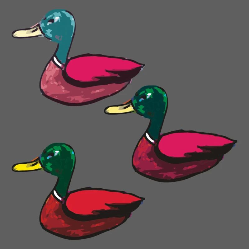Ducks pack of three