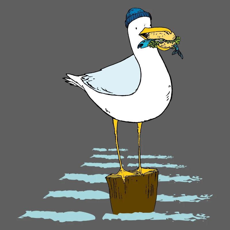 Möwe