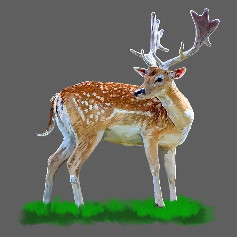 Style aquarelle cerf de forêt
