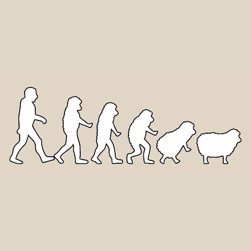 Évolution vers les moutons : mentalité de troupeau
