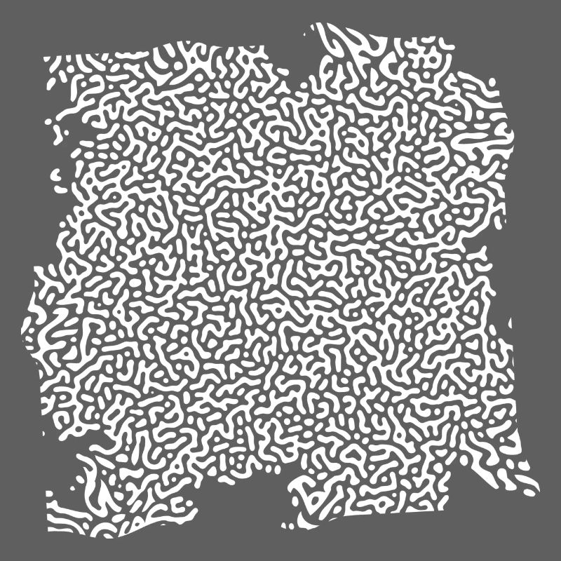 turing pattern white - worm