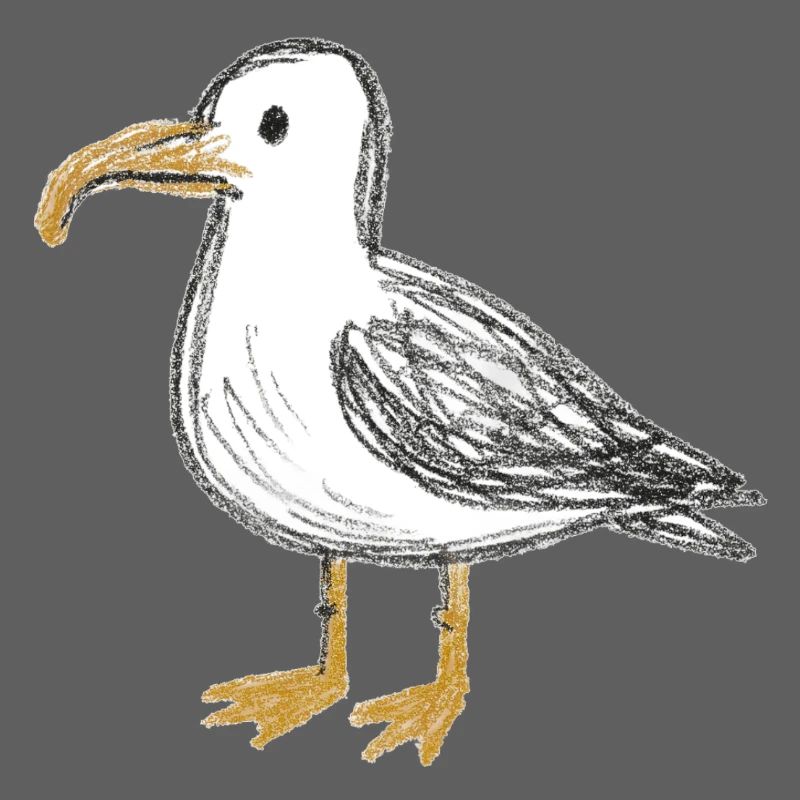 Coastal Bird Sketch Seagull Seagull North German
