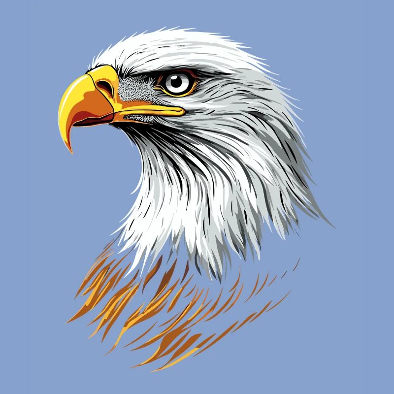 Eagle Bald Eagle Golden Eagle White-tailed Eagle