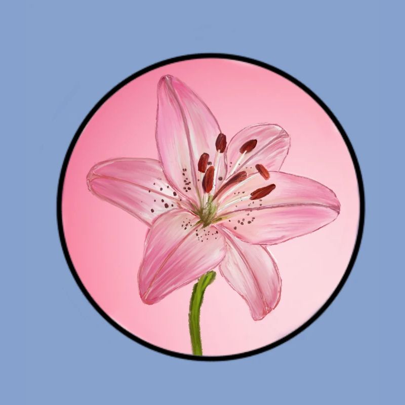 LilyDream