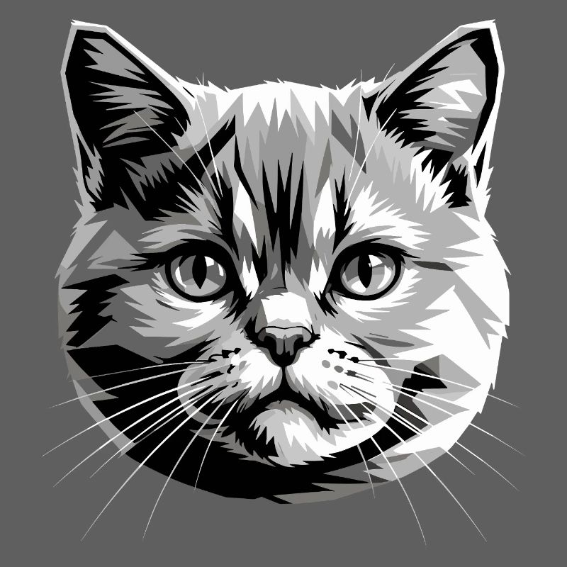 British Shorthair Chat BKH Chat Maman Chats Mignons