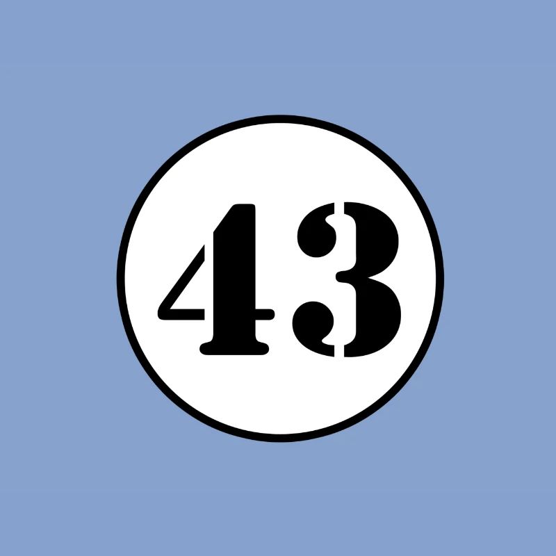 NUMMER 43 Dreiundvierzig Geburtstag Geschenk