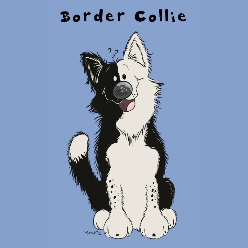 Süßer Border Collie