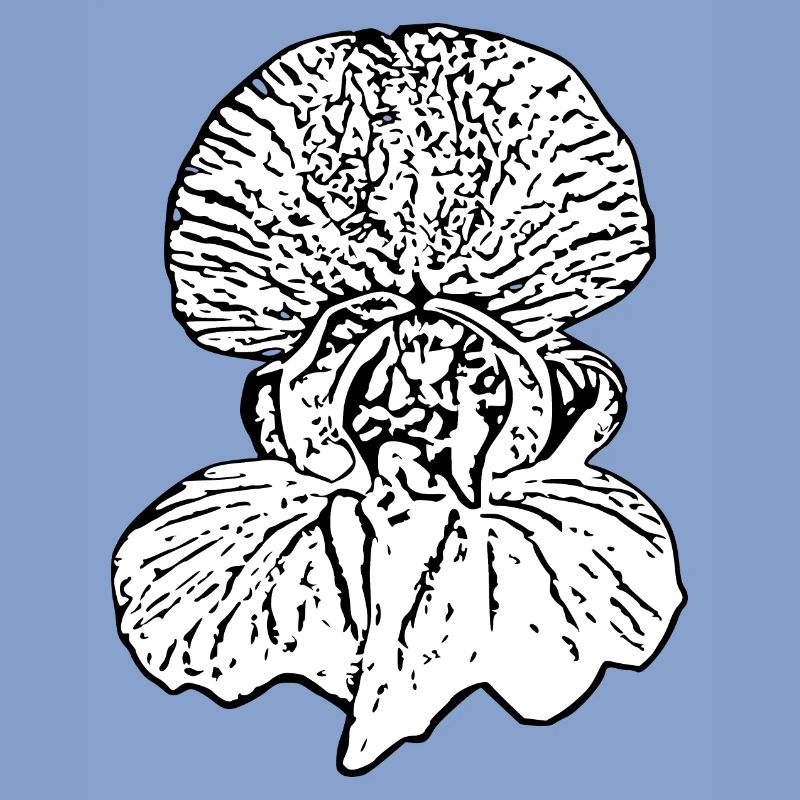 Muttertags Geschenk Mutter Muttertag Geschenkidee 