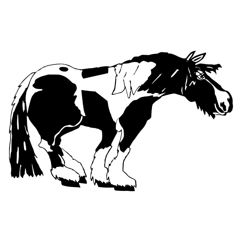 witziger Tinker , Tinker Schecke, Tinker reiten