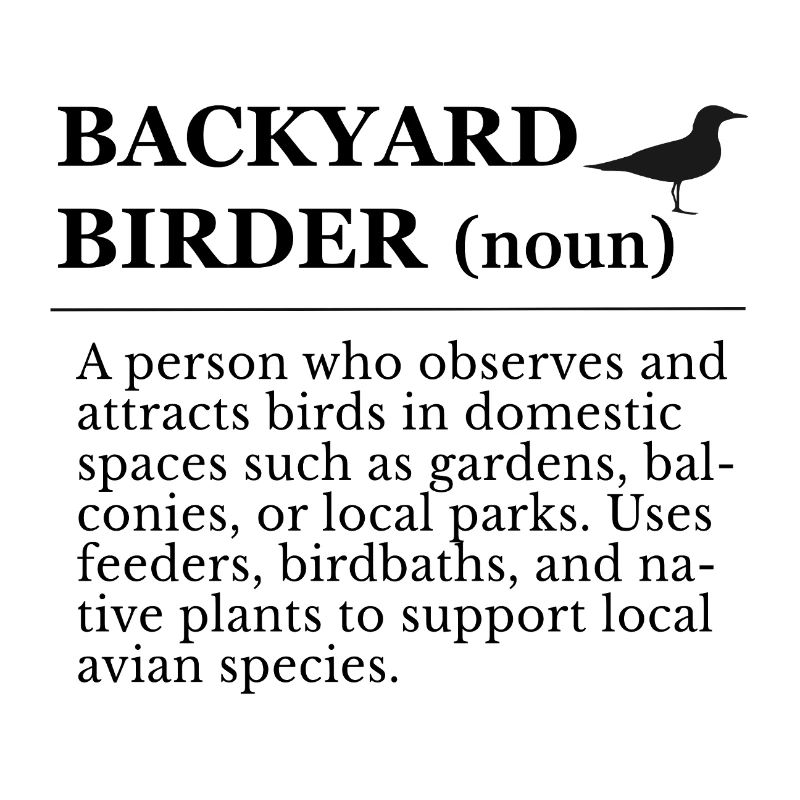 Observation des oiseaux dans le jardin