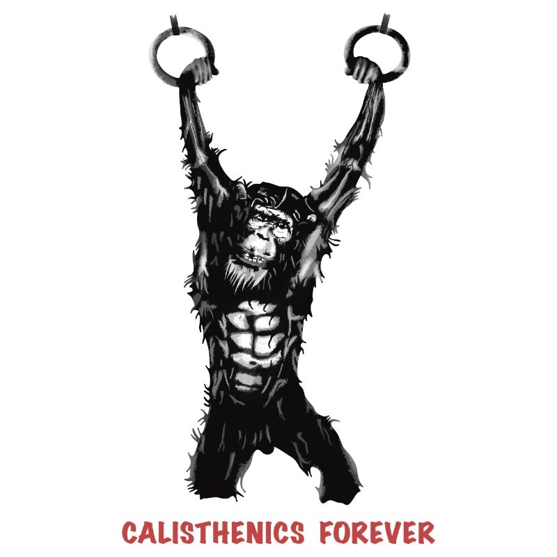 Calisthenics Evolution - Gymnastics Rings