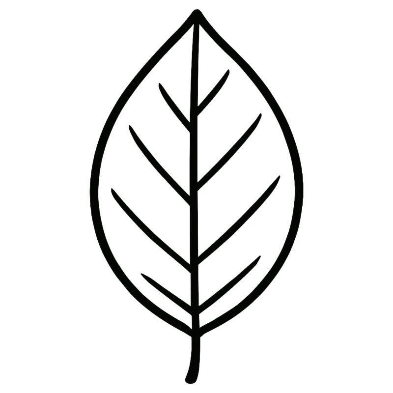 Conception à lignes de feuilles noires
