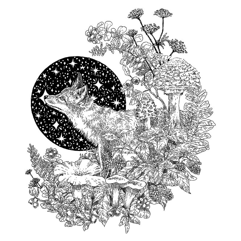 FOX & NIGHT SKY 