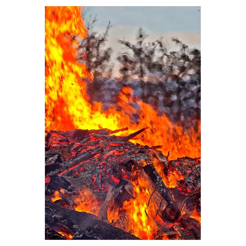 Fire & Flame Easter Fire Poster