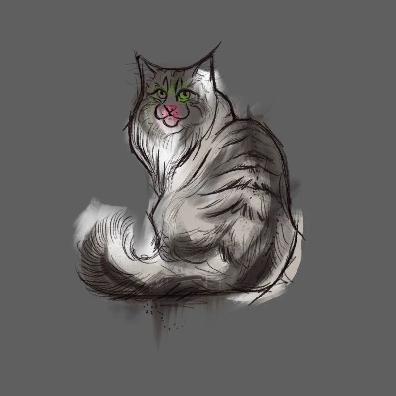 Norwegian Forest Cat