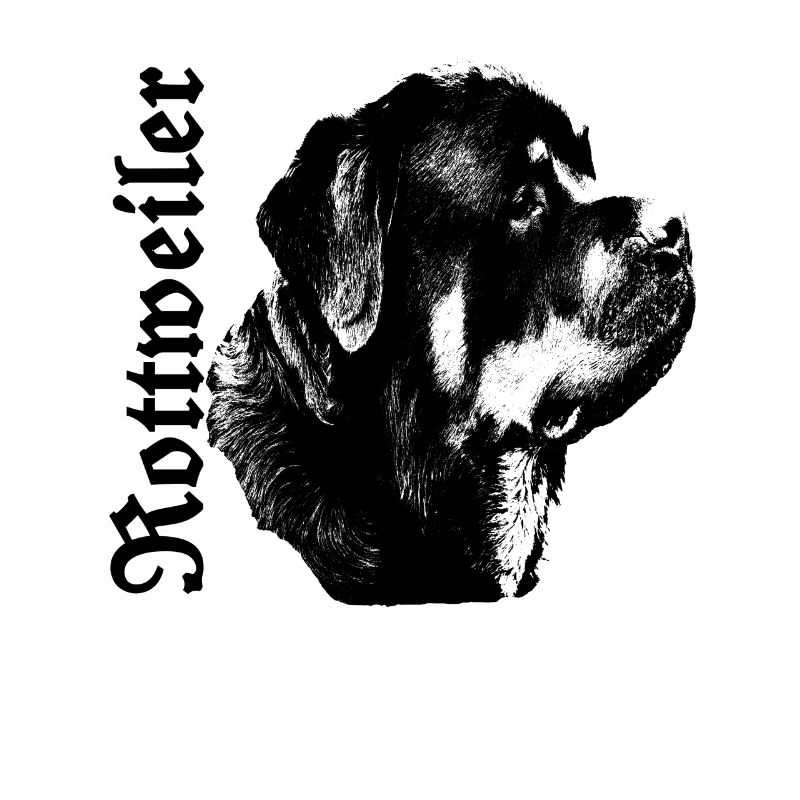 Rottweiler, głowa psa, pies walka, właściciel psa,