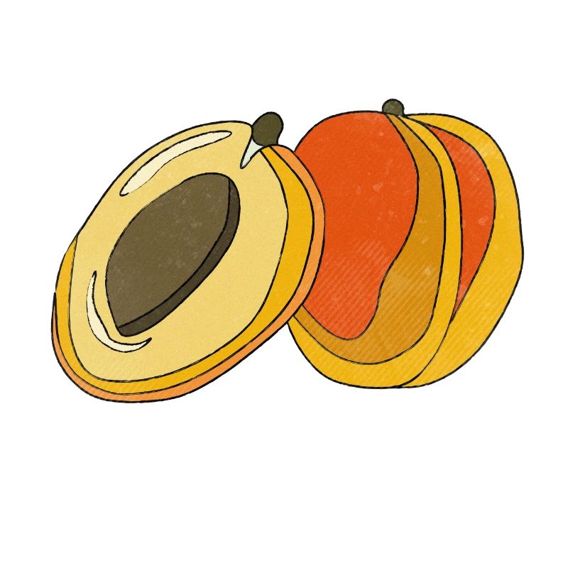 Peach Apricot Summer Fruit Fun Gift