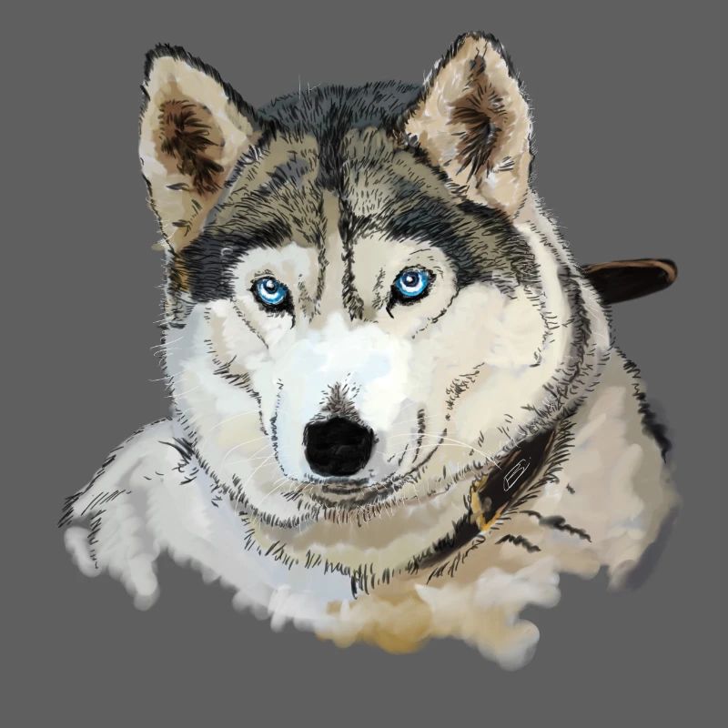 Husky