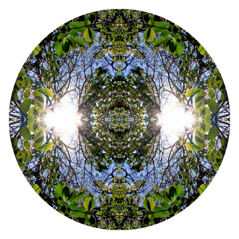 Nature Mandala Source à Nbg Erlenstegen