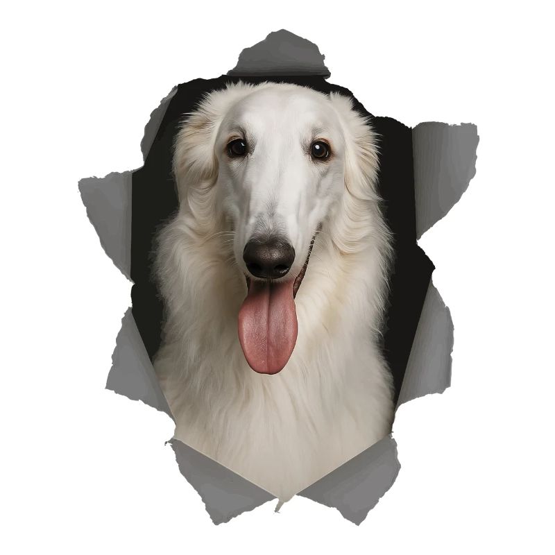 Borzoi