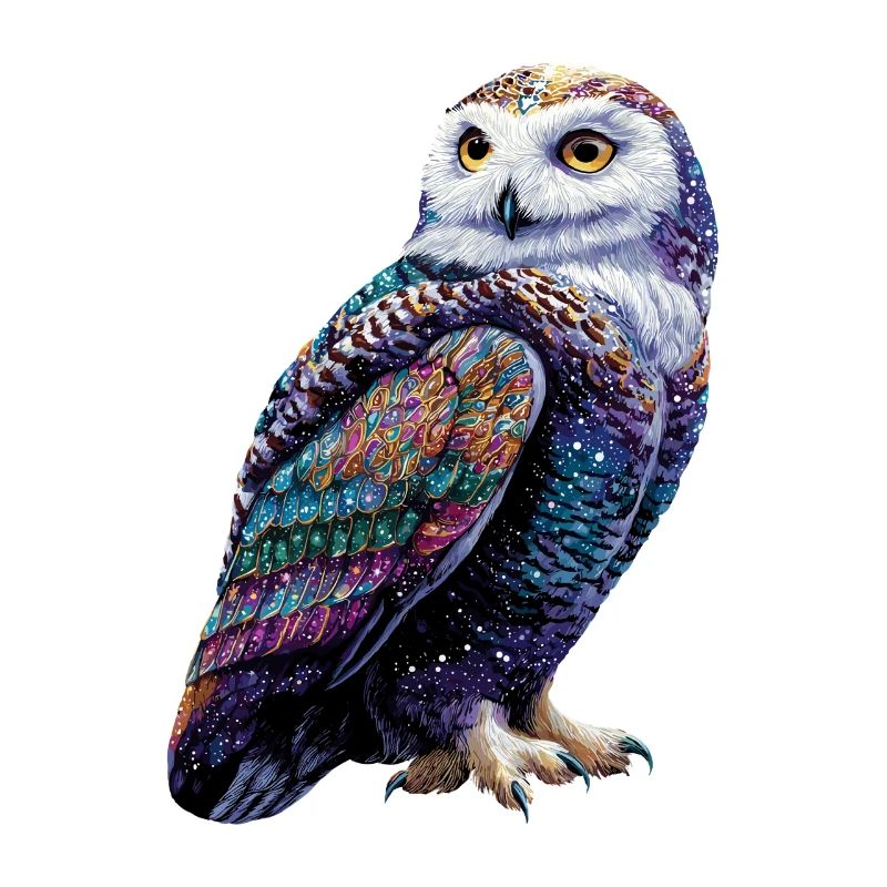 Schneeeule Weiße Eule Kauz Uhu Owl Schnee Eulen