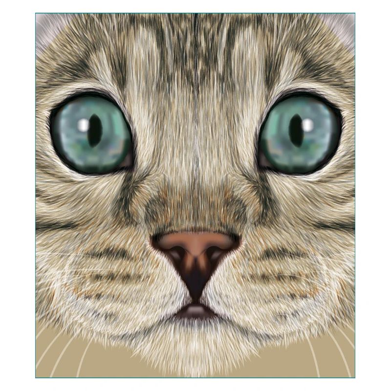 Chat léopard
