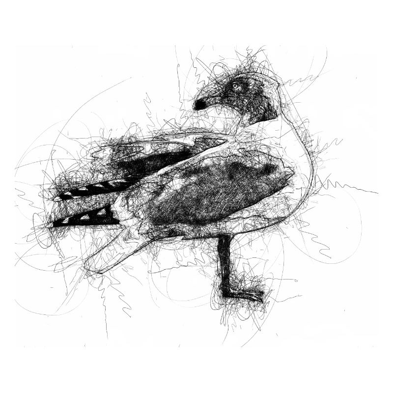 Mouette
