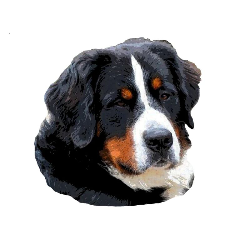 Berner_Senn