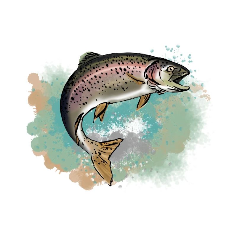 Trout