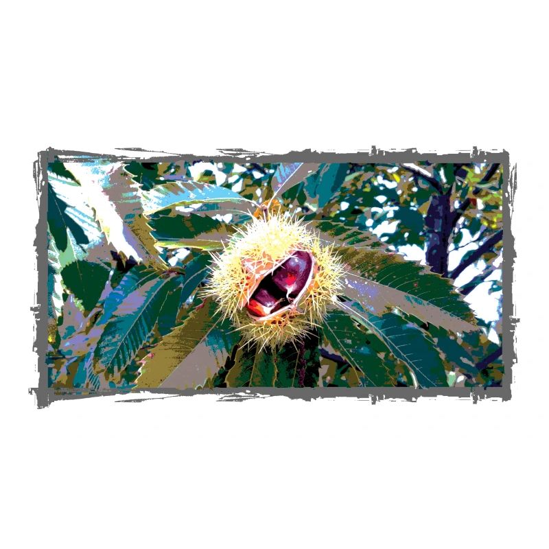Chestnut in pointed leaf design