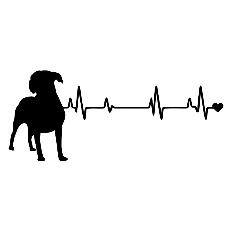 Chien
