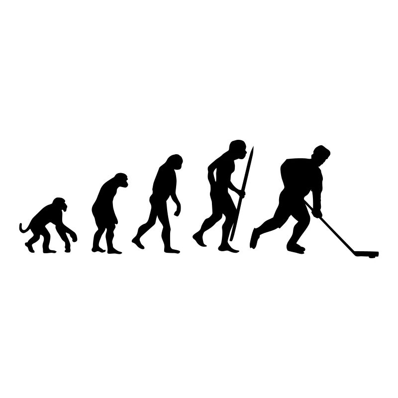 evolution of  hockey_