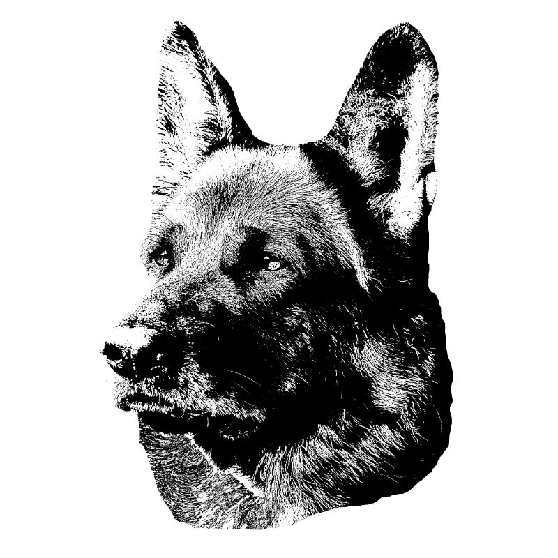 German Shepherd,Dog head,German Shepherd,Dogs