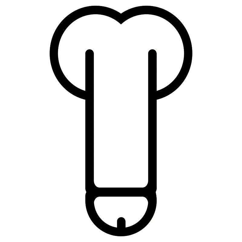 dick