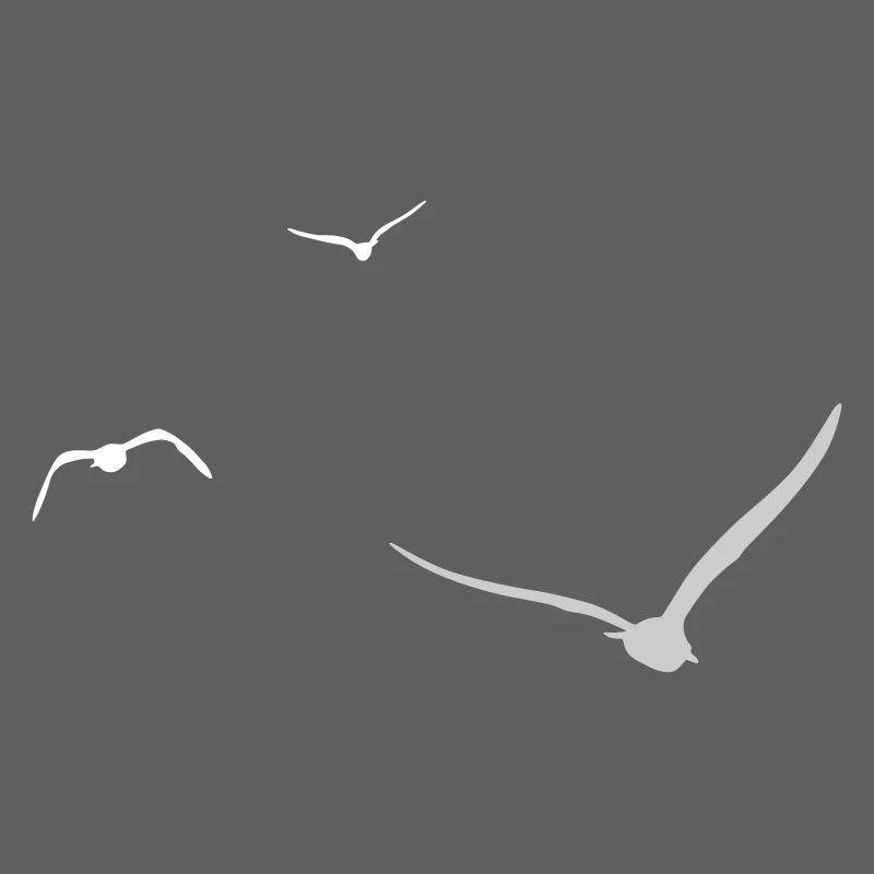 Trois mouettes | Mouette | Couleurs réglables