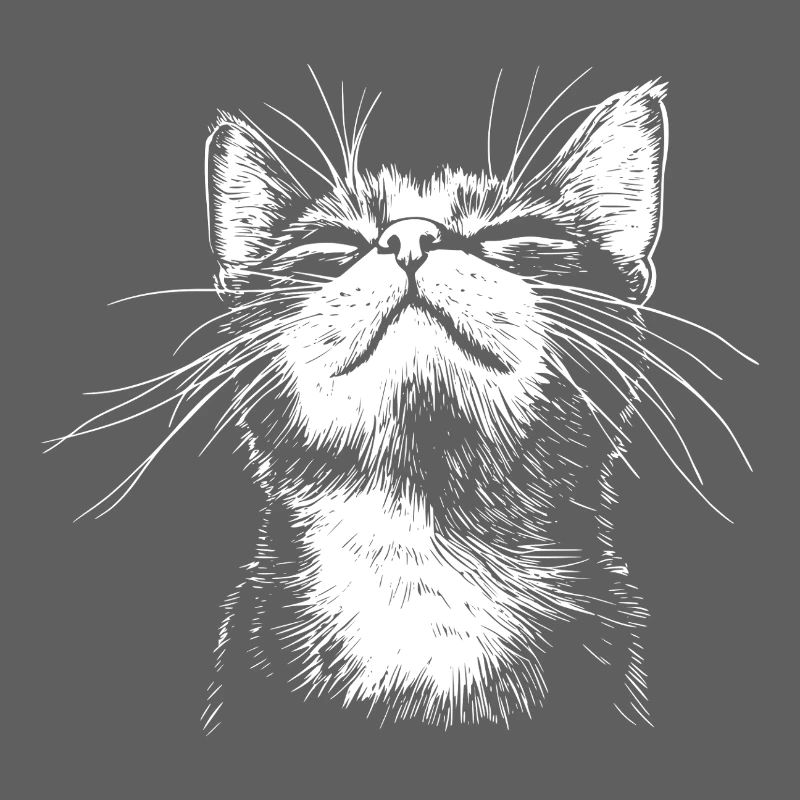 Drôle de Chat