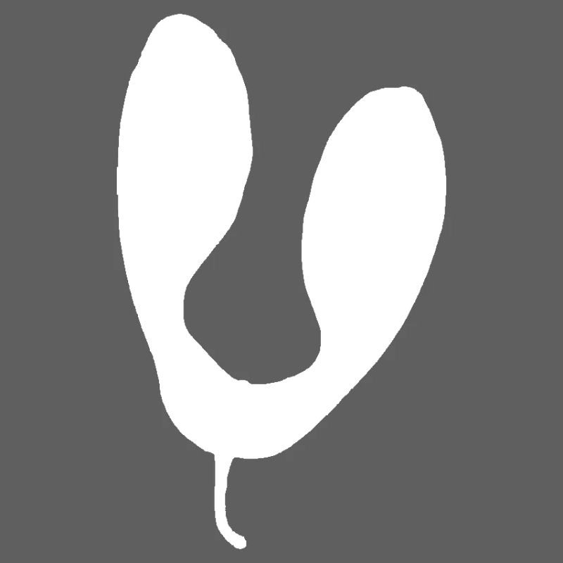U-Shape Abstract Silhouette