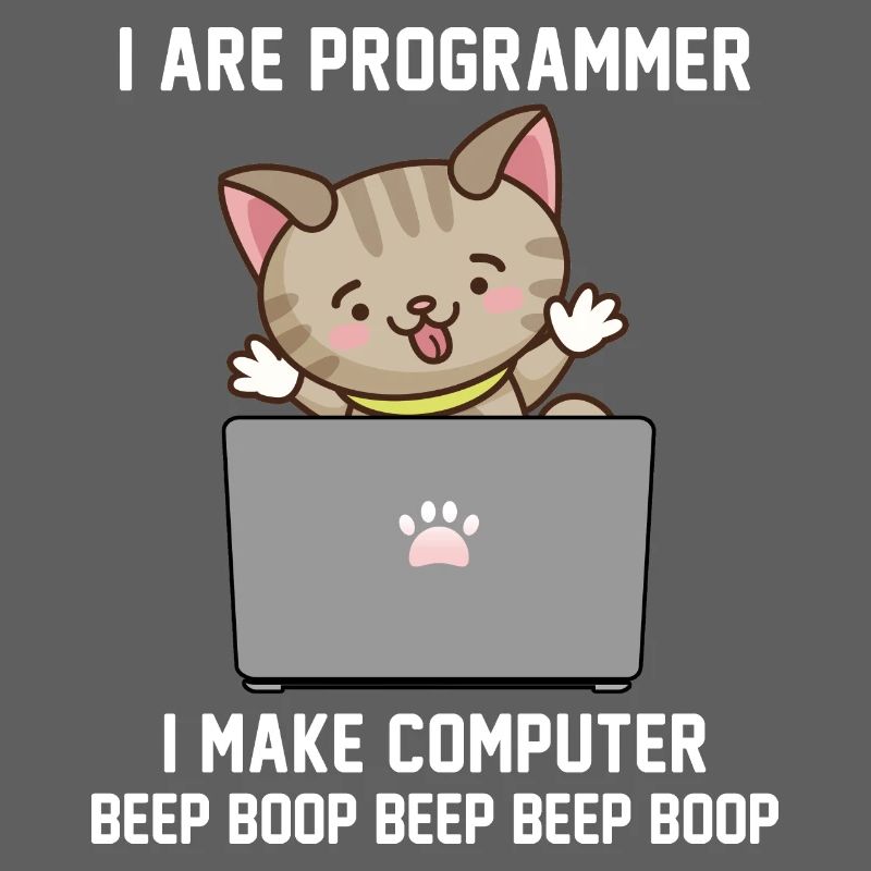 Programmeur